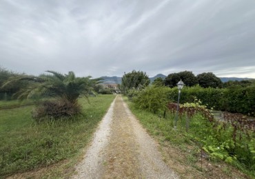 Casa Bi-Trifamiliare in vendita a Pietrasanta