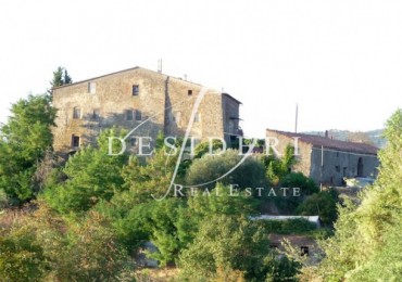 Azienda agricola in vendita a Roccalbegna