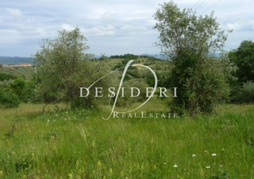 Terreno in vendita a Castiglione della Pescaia