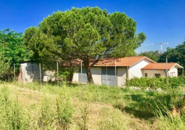 Terreno in vendita a Grosseto