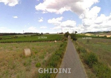 Azienda agricola in vendita a Cinigiano