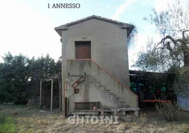 Terreno in vendita a Cinigiano