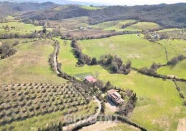 Terreno in vendita a Cinigiano