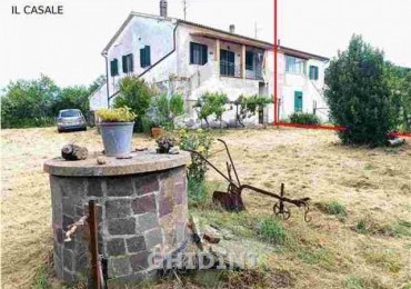 Azienda agricola in vendita a Civitella Paganico