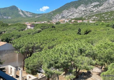 Appartamento in vendita a Dorgali