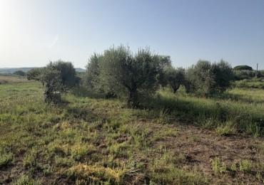 Terreno in vendita a Gavorrano