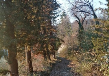 Terreno in vendita a Subbiano