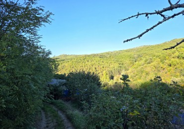 Terratetto - Terracielo in vendita a Arezzo