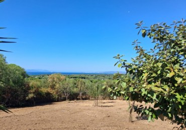 Terreno in vendita a Follonica