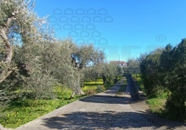 Villa - Villetta in vendita a Messina