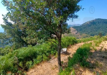 Rustico - Casolare - Colonica in vendita a Messina