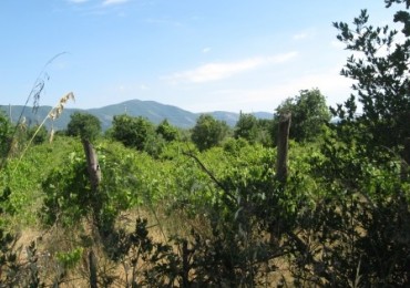 Terreno in vendita a Sessa Aurunca