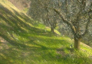 Terreno in vendita a Sulzano