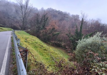 Terreno in vendita a Sulzano
