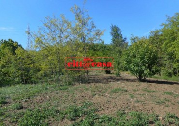 Terreno in vendita a Cavagnolo