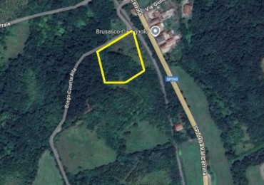 Terreno in vendita a Brusasco