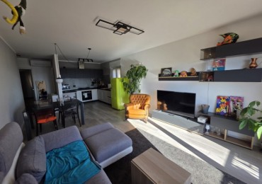 Appartamento in affitto a Trieste