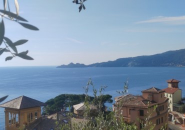 Appartamento in vendita a Zoagli