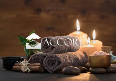 Attività - Licenza in vendita a San Vendemiano