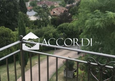 Appartamento in affitto a Conegliano