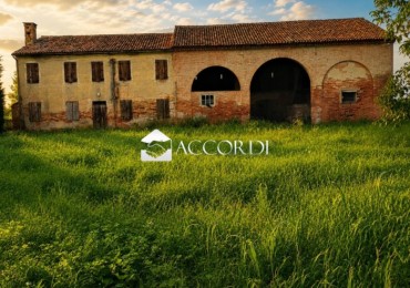 Rustico - Casolare - Colonica in vendita a Conselve