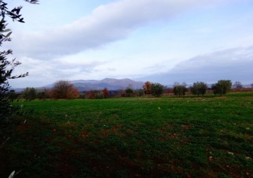 Terreno in vendita a Sorano