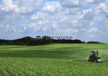 Terreno in vendita a Fano