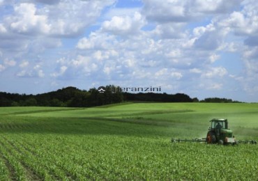 Terreno in vendita a Fano