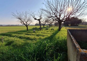 Casa Bi-Trifamiliare in vendita a Fano