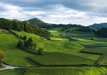 Terreno in vendita a Fano