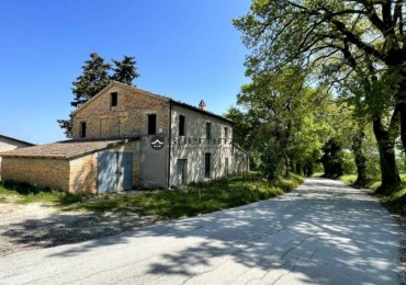 Casale - Masseria - Podere in vendita a San Lorenzo in Campo
