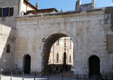 Attività - Licenza in vendita a Fano
