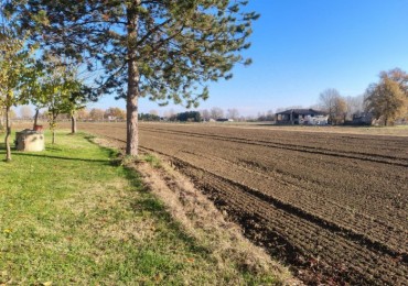 Terreno in vendita a Anzola dell'Emilia