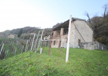 Rustico - Casolare - Colonica in vendita a Miane