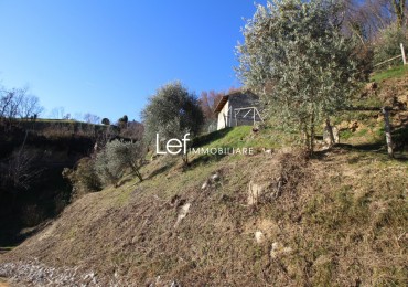 Rustico - Casolare - Colonica in vendita a Tarzo