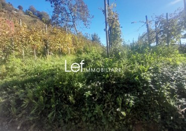 Terreno in vendita a Follina