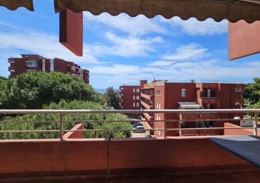 Appartamento in affitto a Follonica
