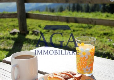 Attività - Licenza in vendita a Forni Avoltri