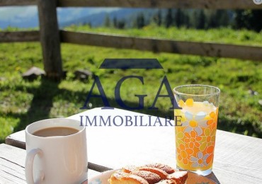 Attività - Licenza in vendita a Forni Avoltri