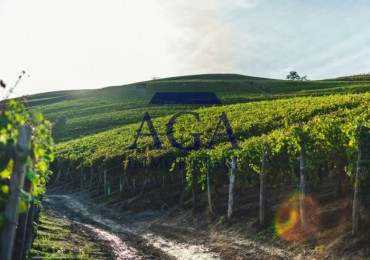 Terreno in vendita a Miane