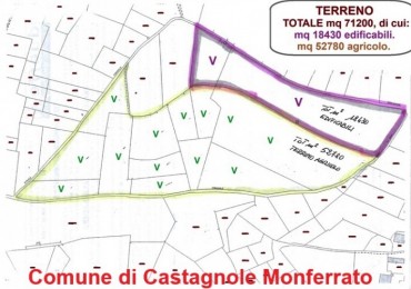 Area Edificabile in vendita a Castagnole Monferrato