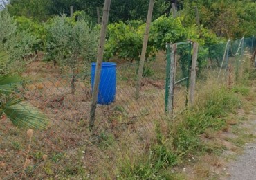 Terreno in vendita a Ravenna