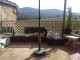 Casa Semi Indipendente in vendita a Rufina