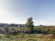 Casale - Masseria - Podere in vendita a Oristano