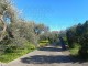 Villa - Villetta in vendita a Messina
